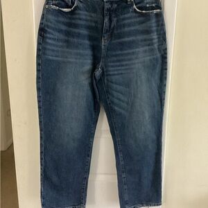 LOFT Blue Relaxed Fit Jeans with Vintage Wash